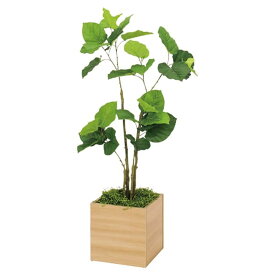 法人様限定 ベルク オフィス家具 フェイクグリーン 人工観葉植物 ボックスプランター ウンベラータ H1150 GR5016