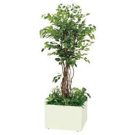 法人様限定 ベルク オフィス家具 フェイクグリーン 人工観葉植物 寄せ植えプランター フィカスベンジャミン H2100 GR5030