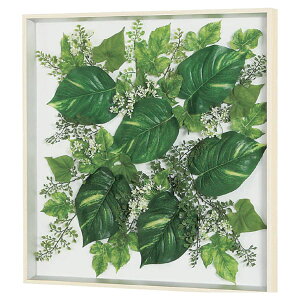 @ll xN ItBXƋ tFCNO[ O[pl EH[O[ GR3704