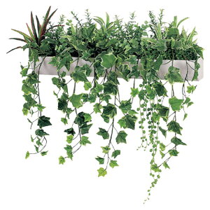 @ll xN ItBXƋ tFCNO[ O[|bh EH[|bg Ǖt^Cv GR4344