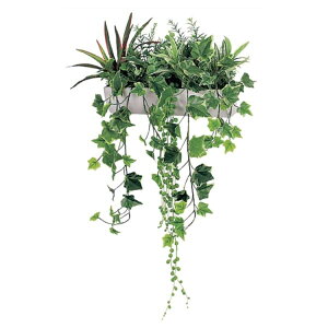 @ll xN ItBXƋ tFCNO[ O[|bh ~j|bg Ǖt^Cv GR4348