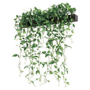 @ll xN ItBXƋ tFCNO[ O[|bh fUC|bg Ǖt^Cv GR4070