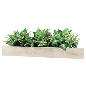 @ll xN ItBXƋ tFCNO[ O[|bh fUC|bg Ǖt^Cv GR4337