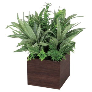 @ll xN ItBXƋ tFCNO[ O[|bh |bg GR4384