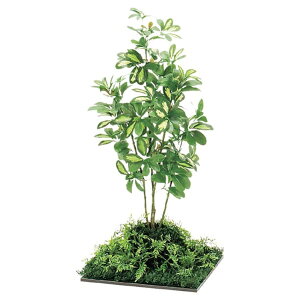 @ll xN ItBXƋ tFCNO[ tAO[ 45p VFt H1000 GR5062