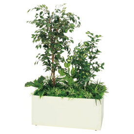 法人様限定 ベルク オフィス家具 フェイクグリーン 人工観葉植物 寄せ植えプランター フィカスベンジャミン H1700 GR5031