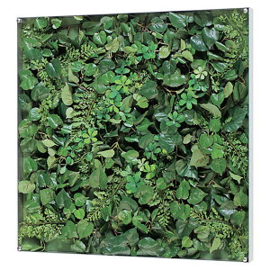 @ll xN ItBXƋ tFCNO[ O[pl EH[O[ GR3567