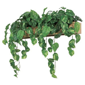 @ll xN ItBXƋ tFCNO[ O[|bh fUC|bg Ǖt^Cv GR4350