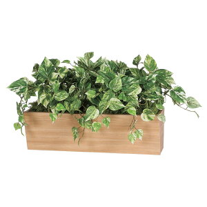 @ll xN ItBXƋ tFCNO[ O[|bh |bg GR4316