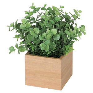 @ll xN ItBXƋ tFCNO[ O[|bh |bg GR4380