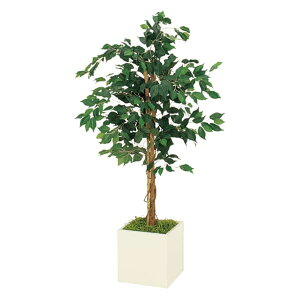 @ll xN ItBXƋ tFCNO[ lHϗtA {bNXv^[ tBJXxW~ H1400 GR5013