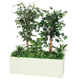 法人様限定 ベルク オフィス家具 フェイクグリーン 人工観葉植物 寄せ植えプランター フィカスベンジャミン H1700 GR5032