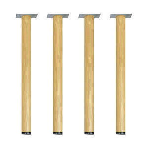 @ll nViHAYASHIj Ɨr ̑e[ur SP-POLE-50×4 ؖڒrV[g