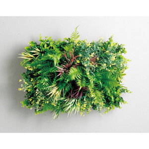 @ll H ItBXƋ tFCNO[ O[pl DEC-04