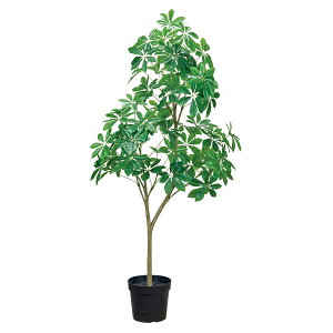 @ll  ItBXƋ tFCNO[ lHϗtA VFt|bg 3WAY