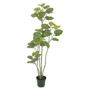 �@�l�l���� ������ �I�t�B�X�Ƌ� �t�F�C�N�O���[�� �l�H�ϗt�A�� �E���x���[�^ H1650