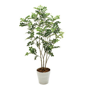 @ll  ItBXƋ tFCNO[ lHϗtA glR t MGF30197