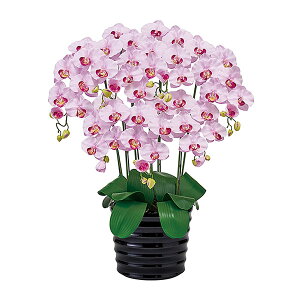 @ll  ItBXƋ  A[eBtBVt[ sAI[Lbh t@m7{ R|[g ^ x_[ ZV6700B-50