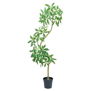 @ll  ItBXƋ tFCNO[ lHϗtA pLGKgXpC