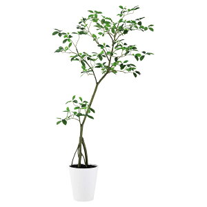 法人様限定 東京堂 オフィス家具 フェイクグリーン 人工観葉植物 ガジュマル FST 鉢付