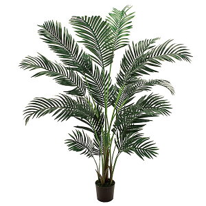 @ll  ItBXƋ tFCNO[ lHϗtA P`p[c[