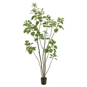 �@�l�l���� ������ �I�t�B�X�Ƌ� �t�F�C�N�O���[�� �l�H�ϗt�A�� �X���[�N�c���[�|�b�g