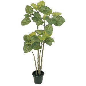 @ll  ItBXƋ tFCNO[ lHϗtA Ex[^ H1200