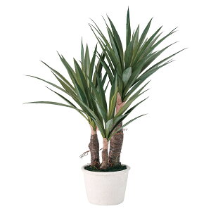 @ll  ItBXƋ tFCNO[ lHϗtA bJ~j|bg