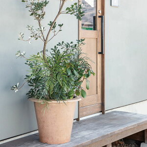 @ll g[VR[|[V K[fƋ v^[  e[p[