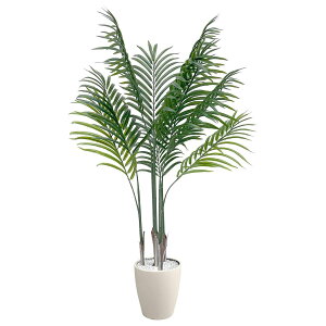 @ll A[oʏ ItBXƋ tFCNO[ lHϗtA AJV ARE-120IV