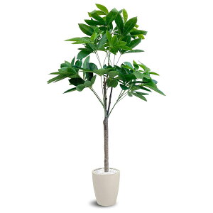 @ll A[oʏ ItBXƋ tFCNO[ lHϗtA pL PAC-150IV