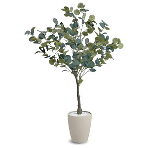 @ll A[oʏ ItBXƋ tFCNO[ lHϗtA [J EUP-120IV