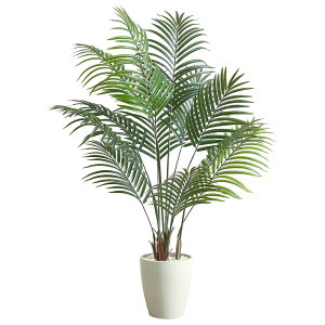 @ll A[oʏ ItBXƋ tFCNO[ lHϗtA AJV ARE-140IV