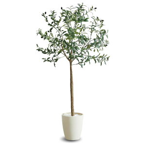 @ll A[oʏ ItBXƋ tFCNO[ lHϗtA I[u OLE-150IV