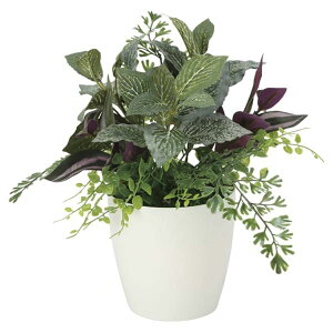 @ll Ov ItBXƋ tFCNO[ O[|bh G-MSG ~bNXO[S