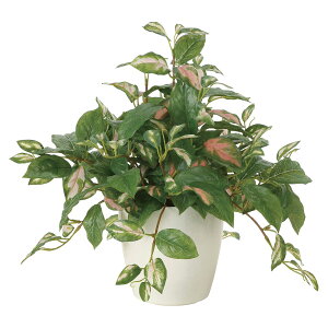 @ll Ov ItBXƋ tFCNO[ O[|bh G-2TH c[gz