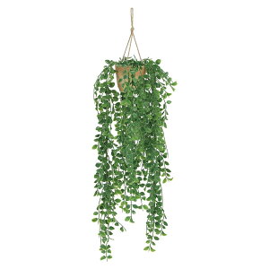 @ll Ov ItBXƋ tFCNO[ O[|bh G-TH eBOXnK[