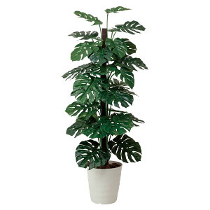 @ll Ov ItBXƋ tFCNO[ lHϗtA G-MS18 Xe1.8