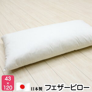 43×120cm tFU[s[ H ܂@(M120j{