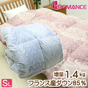 ʃ^Cv1.4kg }X tXY_E85 VO Hѕzc i0251j