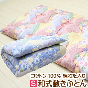 ؖȕ~zc VO  Ȃ킽100 a ~ӂƂ azc i6.0kgjiRF544jrbgtbO