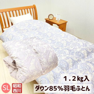 a zCg_E85 HтӂƂ VO 1.2kg DP330 {i6002j