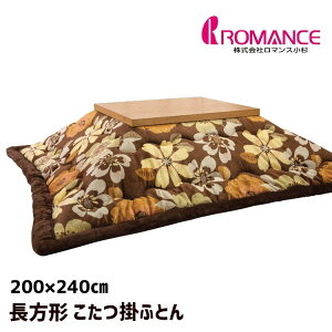 ` |ӂƂ }X R^c|zc 200×240cmi2133juE