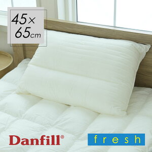 _tB Danfill tbV lbNs[ Cg zCg 45×65cm JPA210 iCg^Cvj@񕪉\Ö