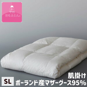 bBHтӂƂ |Hѕzc v~AS[hx |[h}U[O[X95 100 VO 0.4kg _EPbg (9504S)