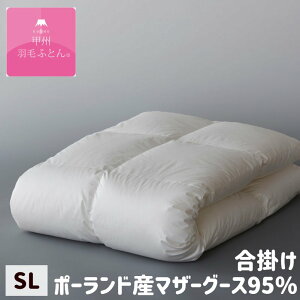 bBHтӂƂ |Hѕzc v~AS[hx |[h}U[O[X95 100 VO 0.8kg (9508S)