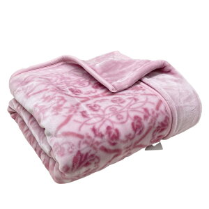 _u a 2킹ѕz ӂ  2.4kgimGj x[WEsN