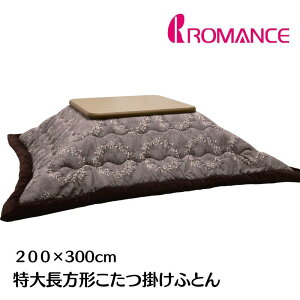 咷` |ӂƂ }X R^c|zc 200×300cm 唻`i4544j[t uE