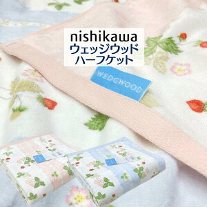 n[tPbg EFbWEbh ^IPbg  WEDGWOOD n[tTCY { 100iWW7620jRR70400018