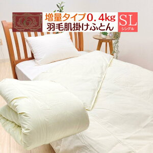 0.4kg Hєzc VO GNZS[hx _E85 􂦂 { _EPbg iW@Ȃj Ȃ薳n